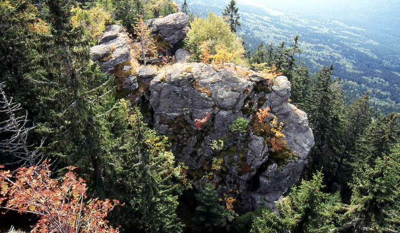 bewachsene Felsen am Kleinen Falkenstein.