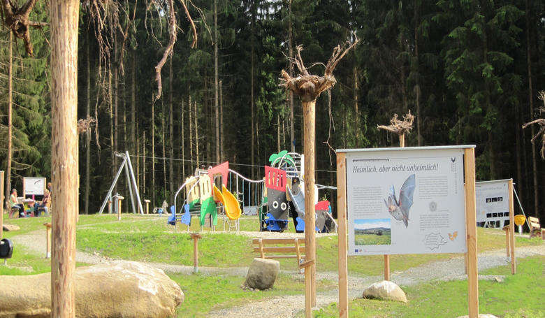 Fledermaus Waldspielplatz mit Lehrpfad