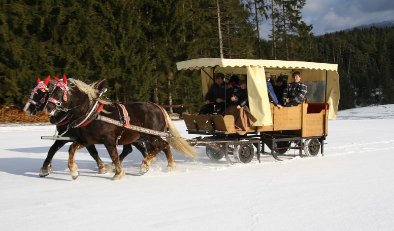 Pferdeschlittenfahrten