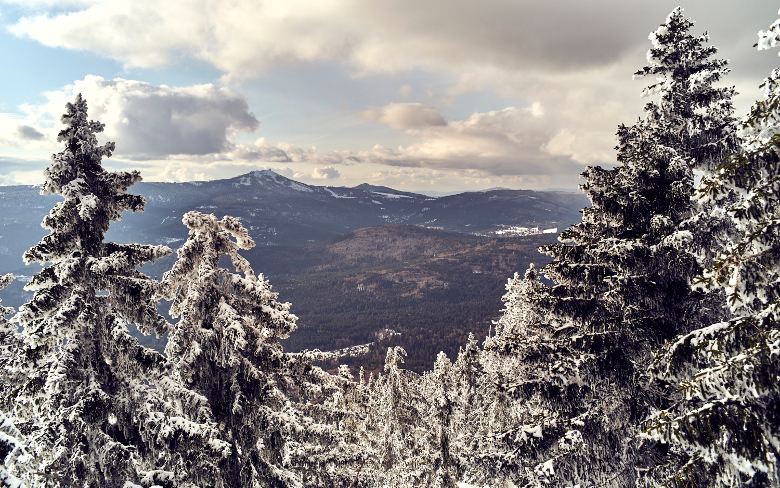 Ausblick-Panorama vom Großen Falkenstein