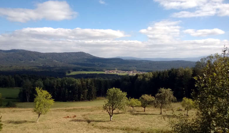 Ausblick vom Berggasthof Waldmann