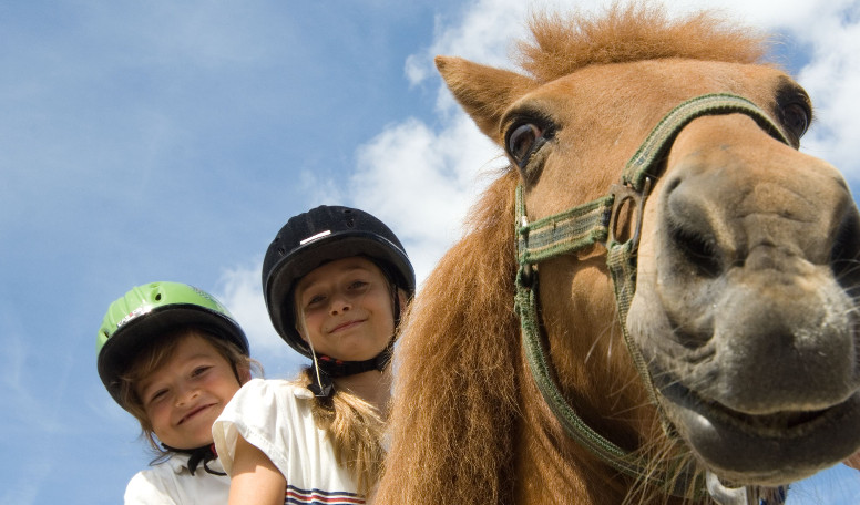 Reiten als Therapie