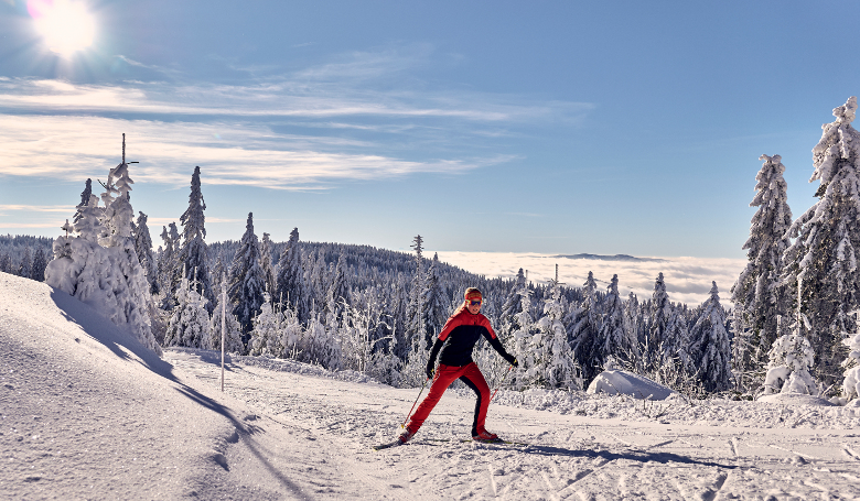 Langlaufen im ARBERLAND BAYERISCHER WALD