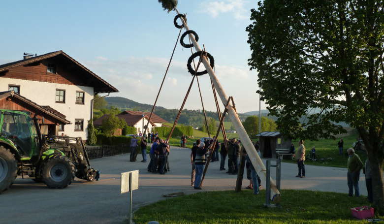 Maibaumaufstellen in Lämmersdorf bei Zachenberg