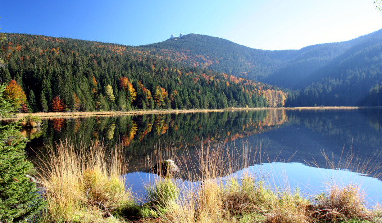 Kleiner Arbersee mit Blick auf dem Großen Arber.