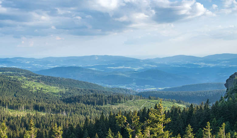 Ausblick vom König des Bayerischen Waldes