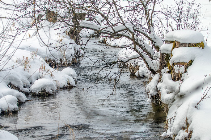 Winter in Kirchberg im Wald