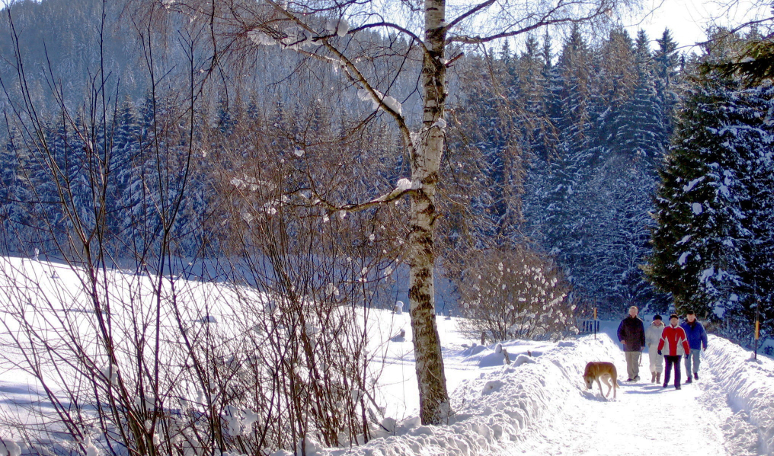 Winterwanderweg Rabenstein