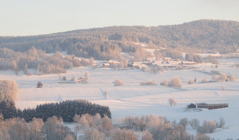 Rinchnach Winterwanderung