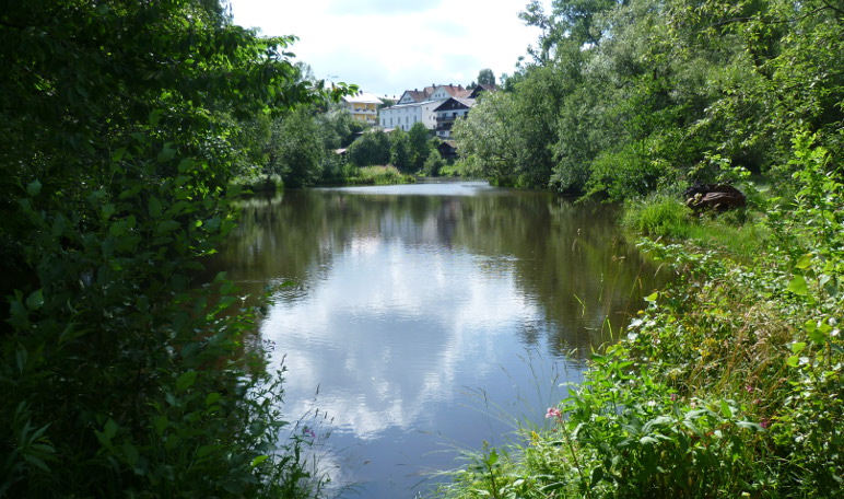 Kurpark Regen mit Blick auf den Fluss