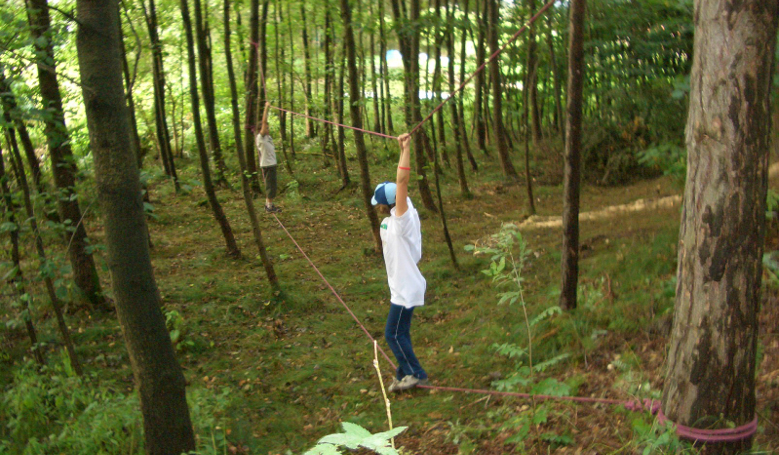 Natur Camp Schwarzholz Doppelseilsteg