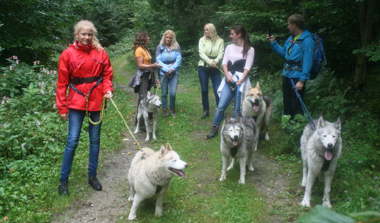 Wandern mit Huskys