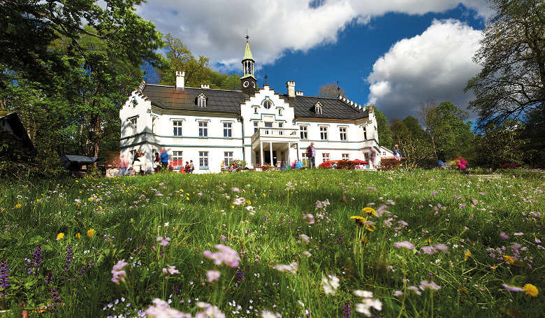 Schloss Buchenau mit Blumenwiese