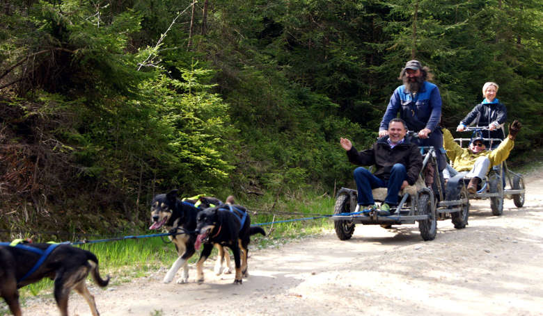 Schlittenhundewagenfahrt mit Waldschrat Adventure Company