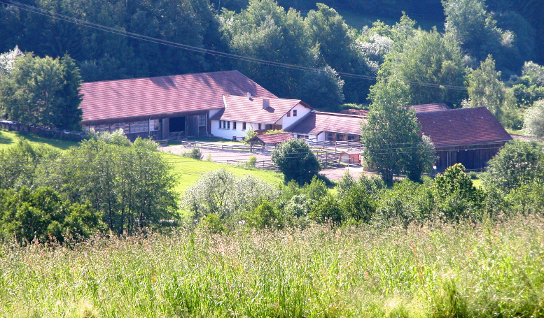 Blick auf die Reitanlage