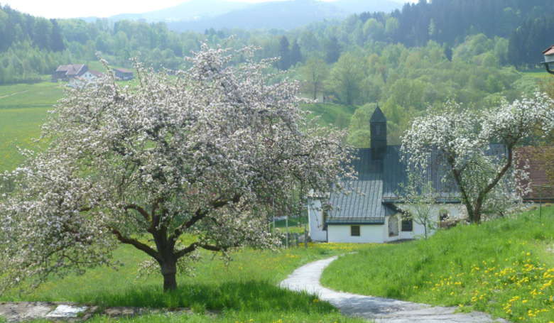 Kapelle im Frühling Ruhmannsfelden