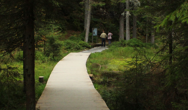 barrierarmer Rundweg um den Großen Arbersee