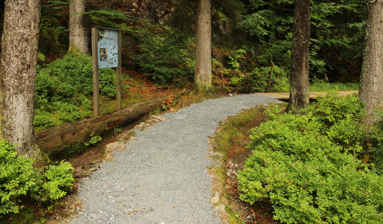 barrierearmer Rundweg Großer Arbersee