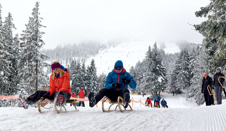 Schlittenfahren im Skigebiet am Großen Arber.