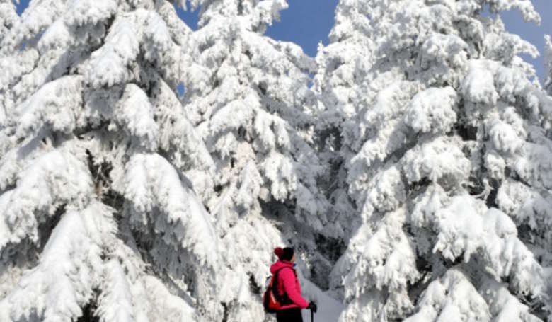 Schneeschuhtour durch den Winterwald zum Großen Arber
