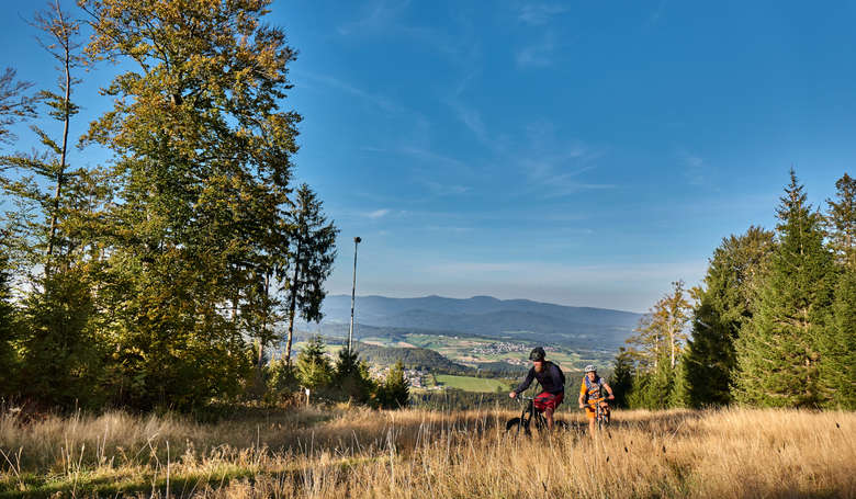 Mountainbike Touren mit Ausblick am Geißkopf im ARBERLAND