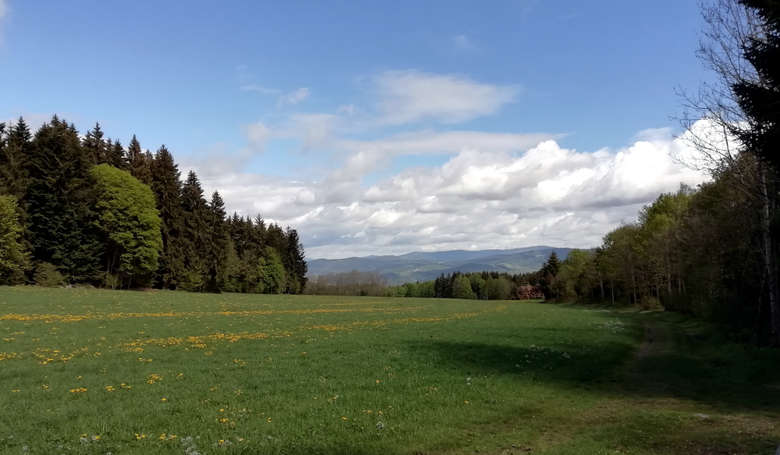 Ausblick auf den Bayerischen Wald - Richtung Hoher Bogen