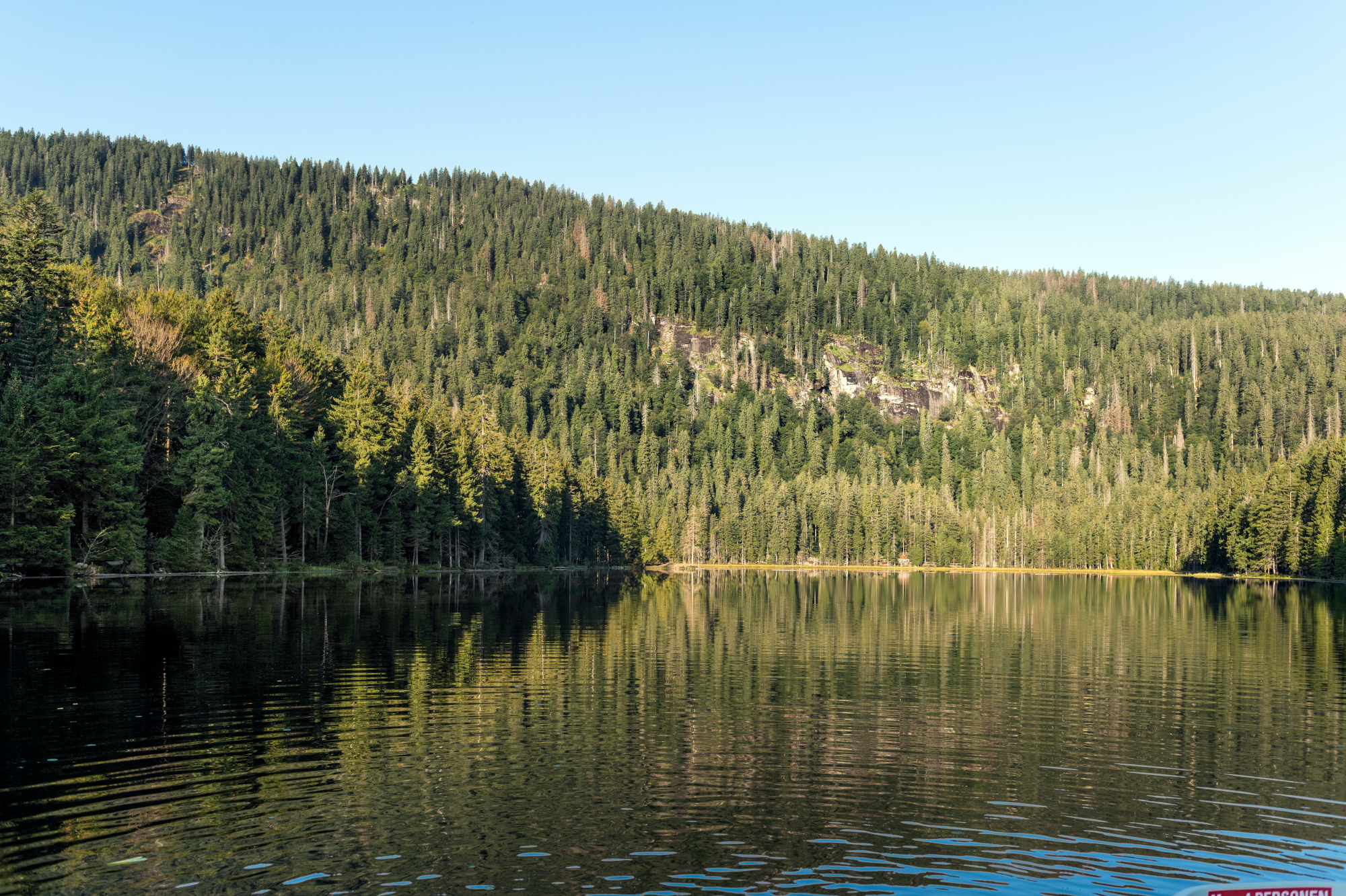 Großer Arbersee im Spätsommer