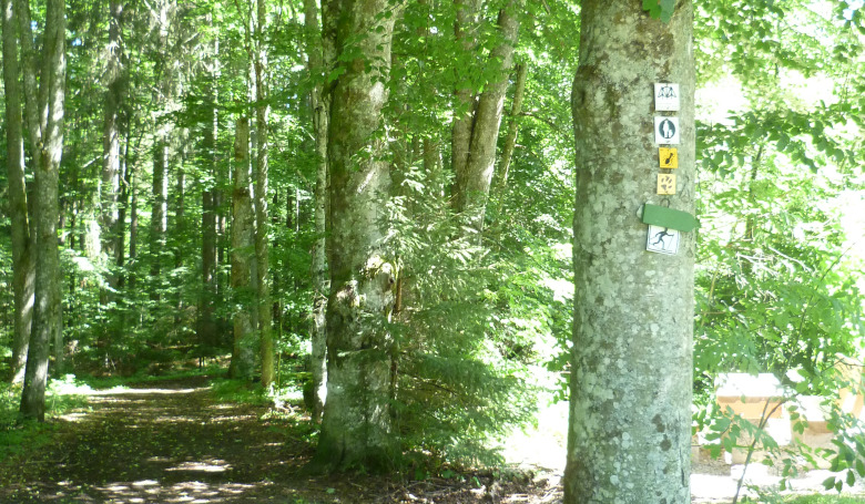 Rundwanderweg Ameise im Zwieslerwaldhaus