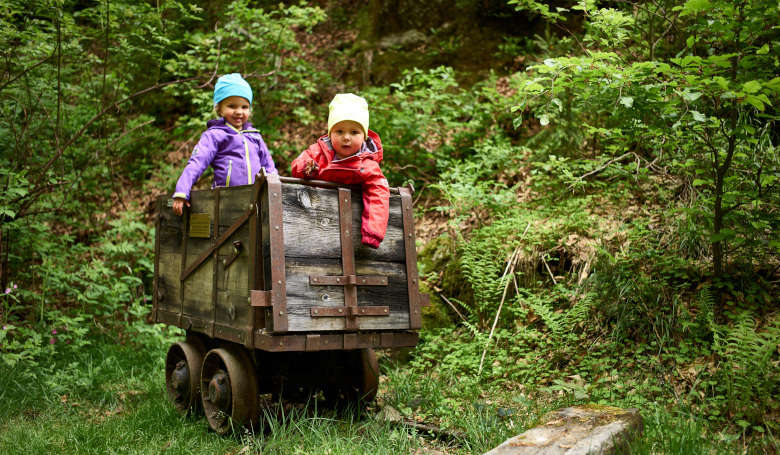 Auf der Kinderwagentour Schönebene bei Bodenmais erkunden Kinder das Abenteuer Natur.