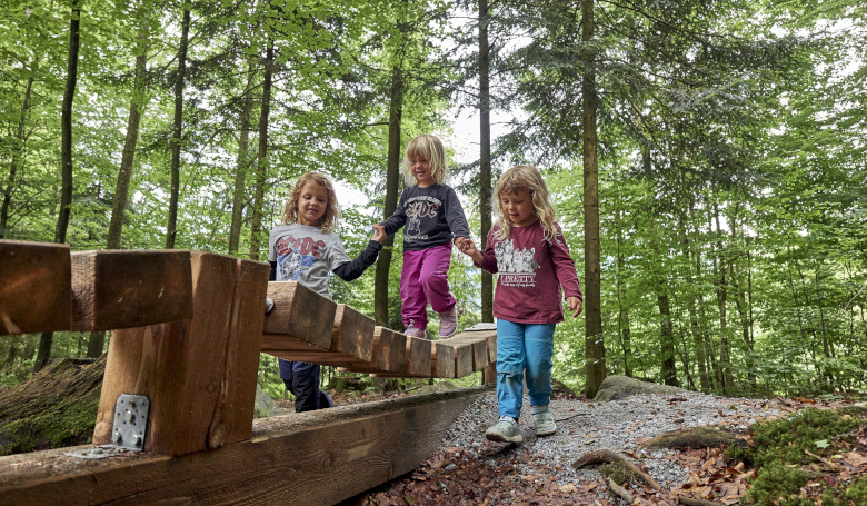 Viel Spaß in der Natur bietet eine Wanderung auf der Ameisenstraße bei 