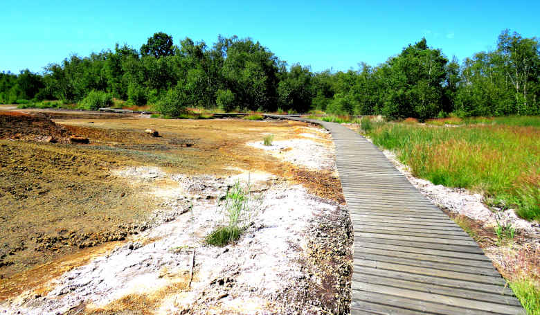 Nationales Naturreservat Soos.