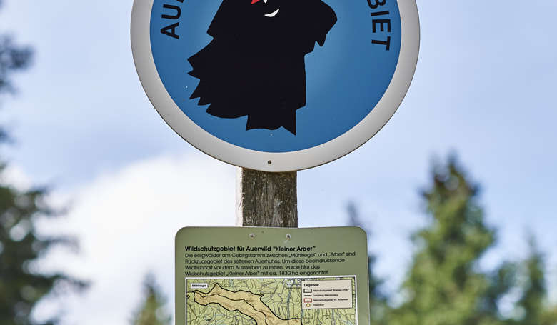 Hinweis auf das Schutzgebiet des Auerwildes an der Chamer Hütte