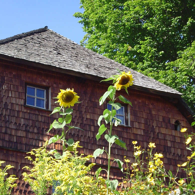 Blühender Sommergarten vorm Hatzinger Hof bei Bayerisch Eisenstein