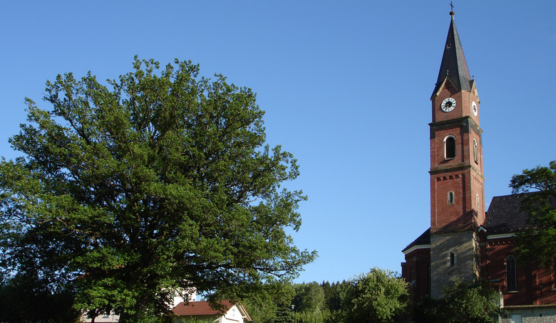 Naturdenkmal "Eiche" in Kirchaitnach bei Kollnburg.