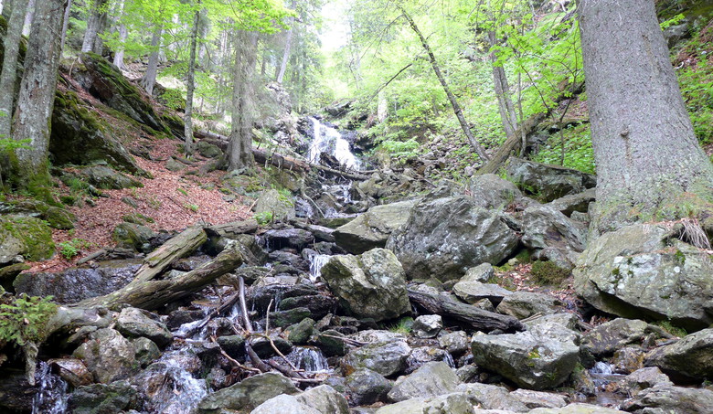 Das Höllbachspreng auf dem Weg zum Großen Falkenstein