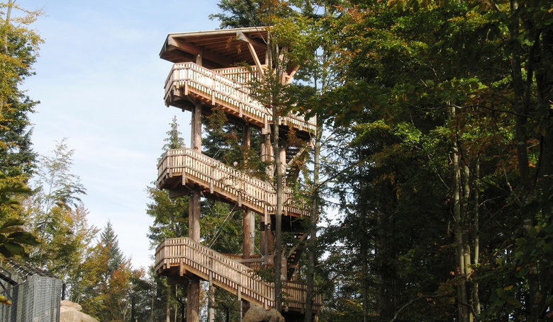 Aussichtsturm am Haus zur Wildnis 