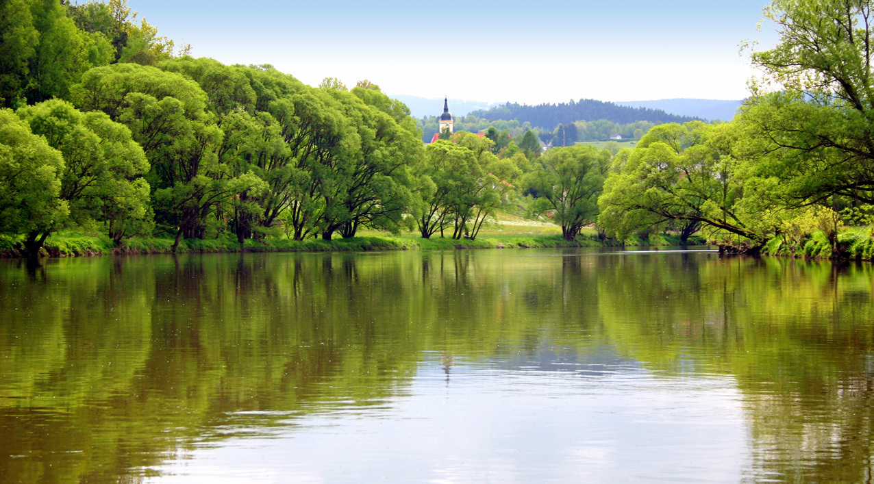 Viechtach mit Regenufer