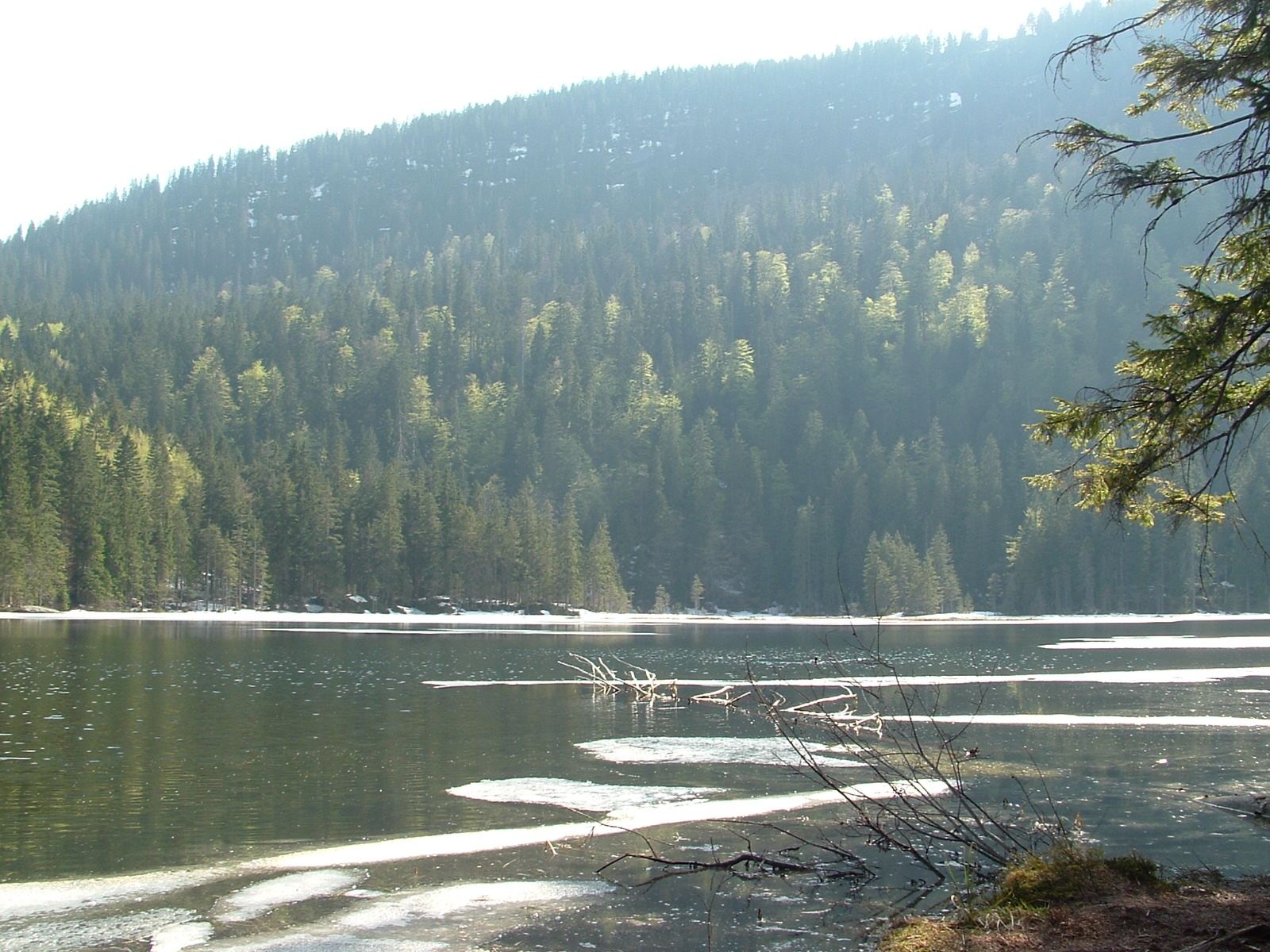 Großer Arbersee und Arberseewand