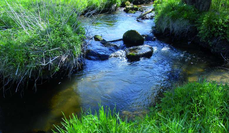 Dem natürlichen Wasserlauf eines klaren Bergbaches lauschen, eine Oase der Ruhe.