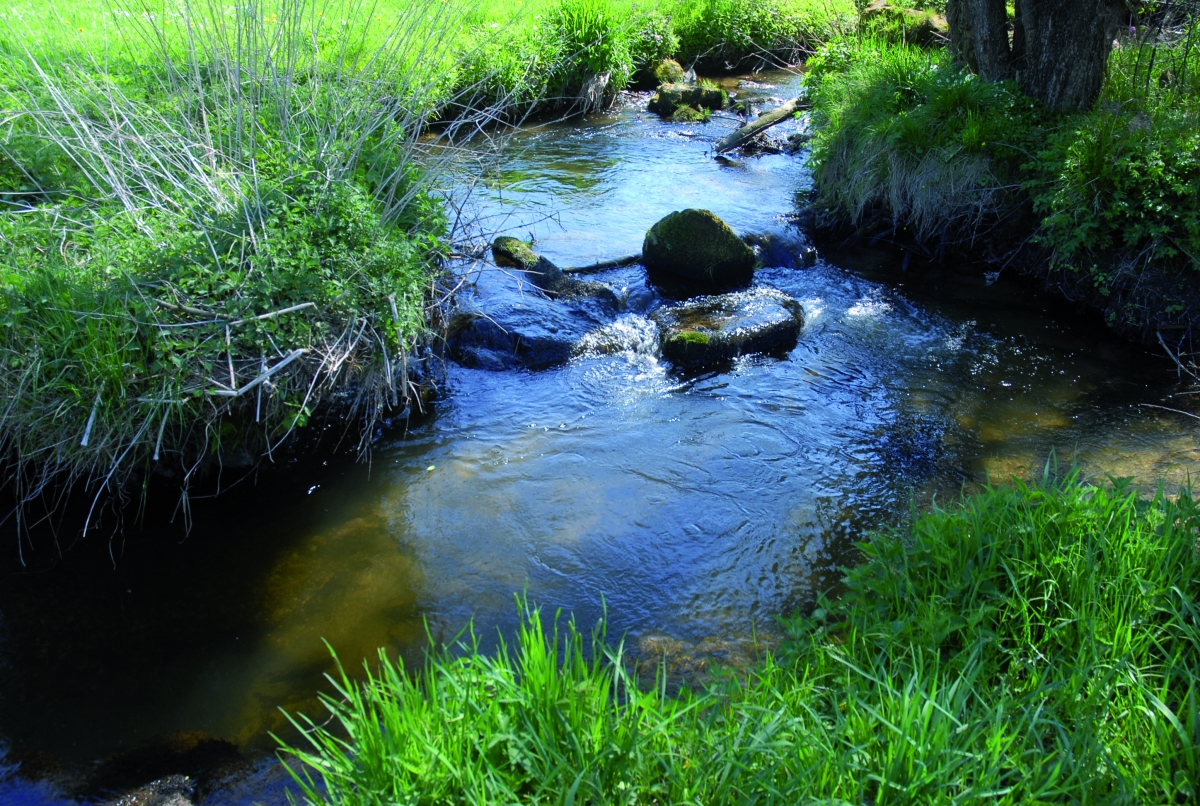 Dem natürlichen Wasserlauf eines klaren Bergbaches lauschen, eine Oase der Ruhe.