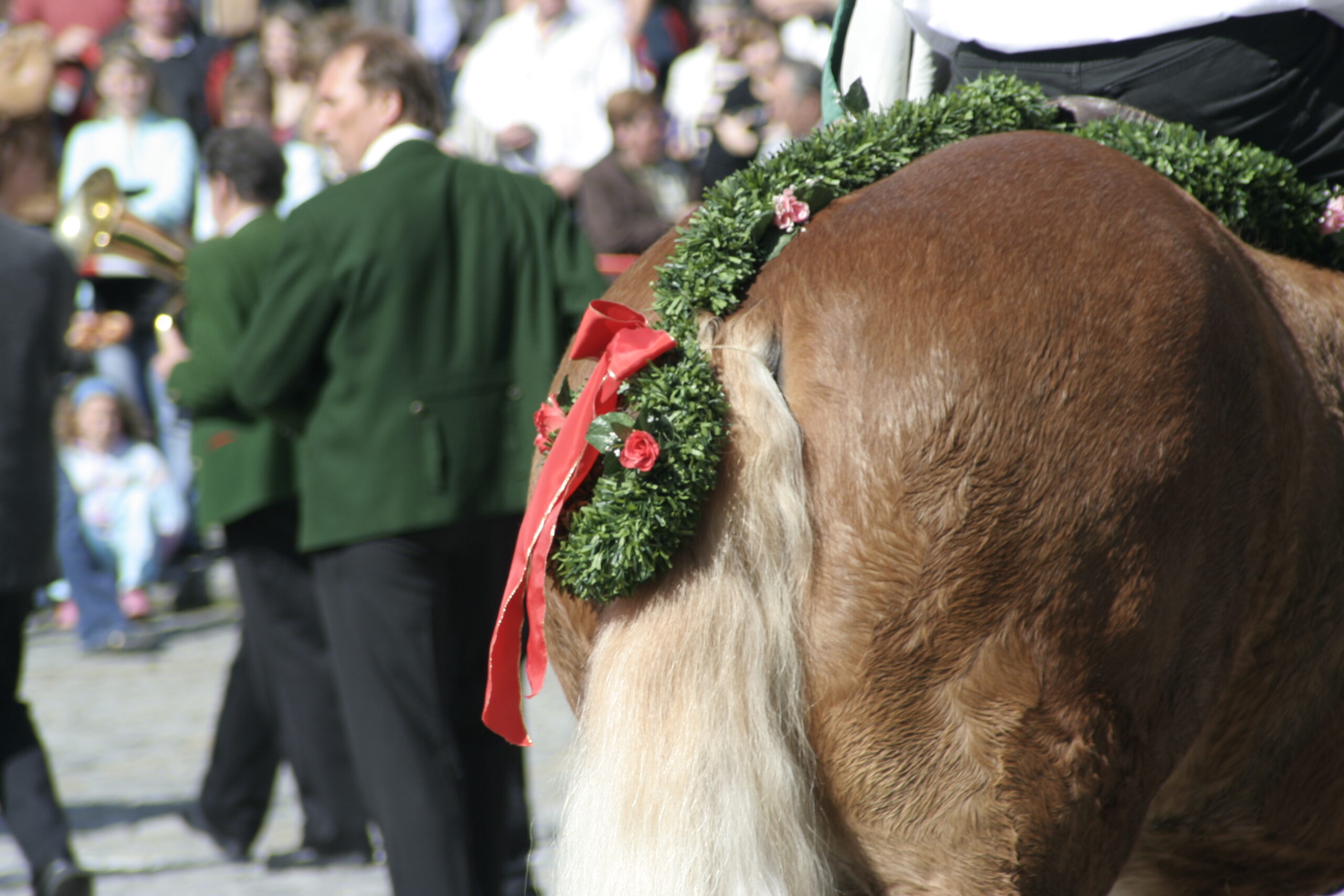 Prächtig geschmückte Pferde nehmen am traditionellen Osterritt in Regen teil.