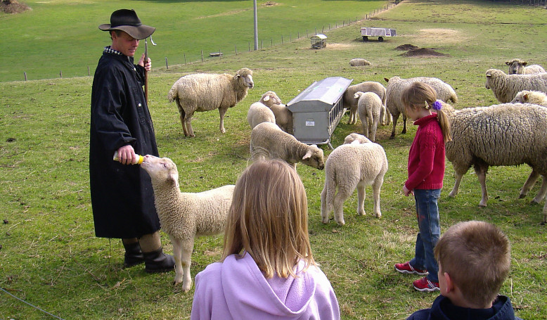 Führung durch den Schafhof Perl in Rinchnach.