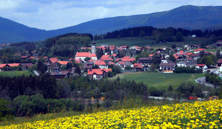 Blick auf den Zellertalort Drachselsried.