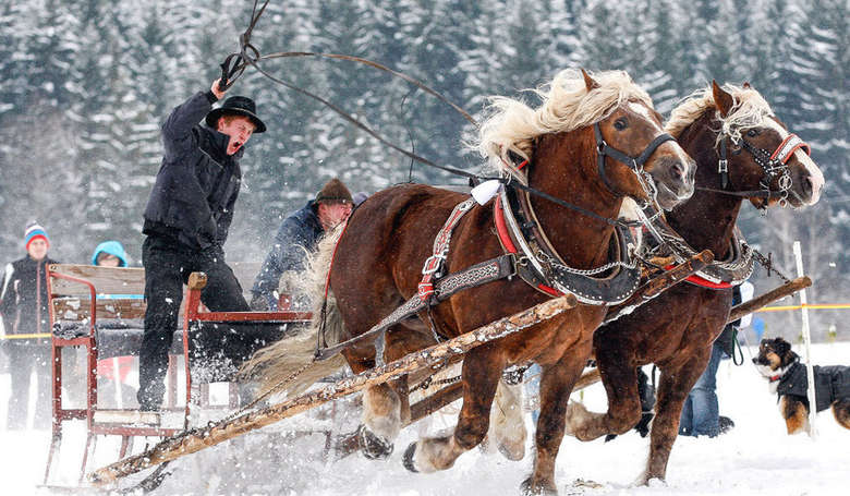 Pferdeschlittenrennen in Rinchnach