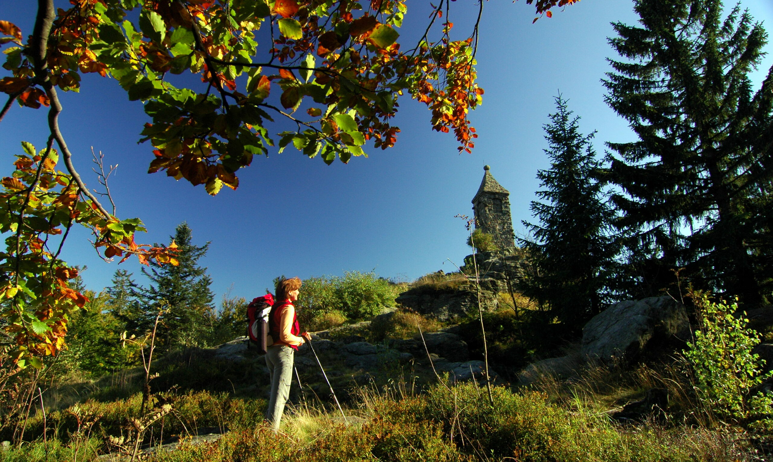 Großer Riedelstein am Kaitersberg Massiv