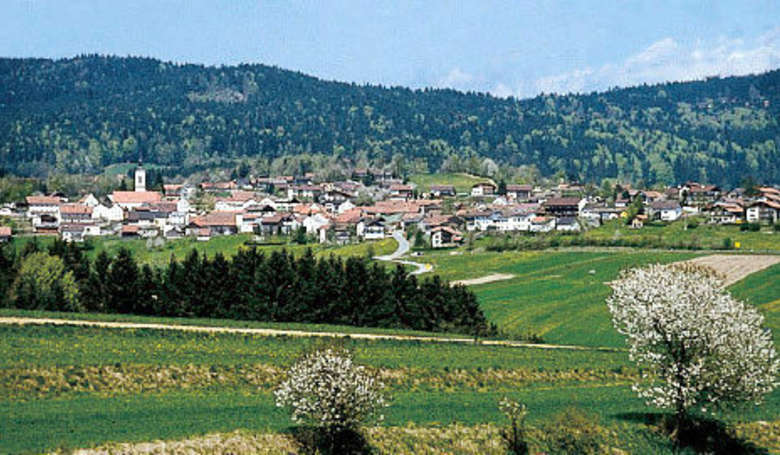 Panoramablick auf die Ortschaft Kirchdorf im Wald