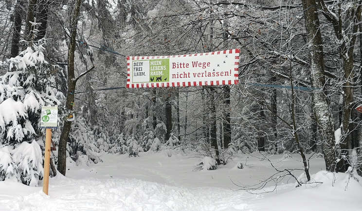 Schutzgebiet Auerwild Bayerischer Wald_Winter