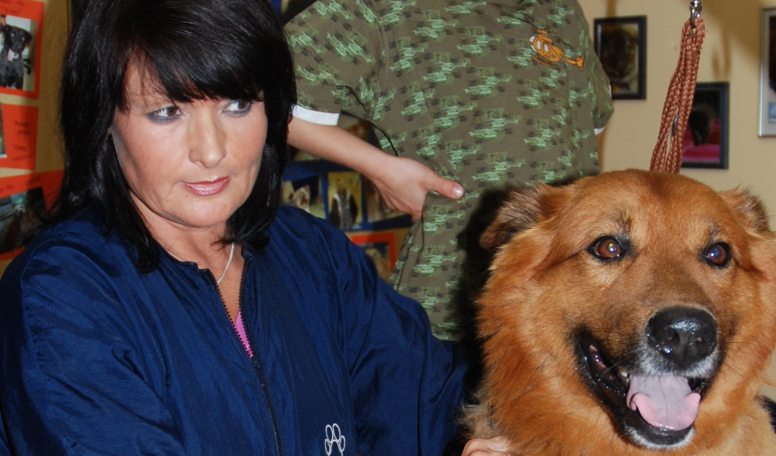 Hundestudio Vier Pfoten in Zwiesel