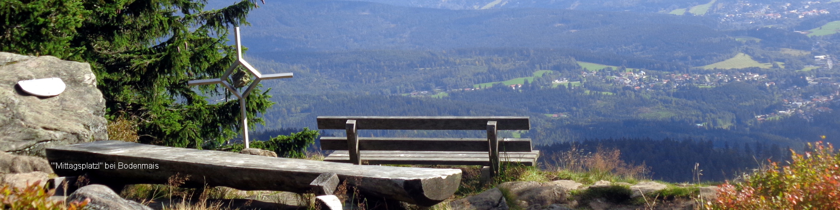 Ausblick vom Mittagsplatzl nach Bayerisch Eisenstein
