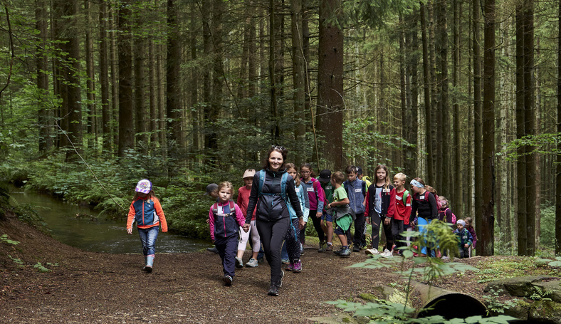 Familienwanderung durch den Wald., © Woidlife Photography/Tourist-Information Drachselsried Familienwanderung durch den Wald.